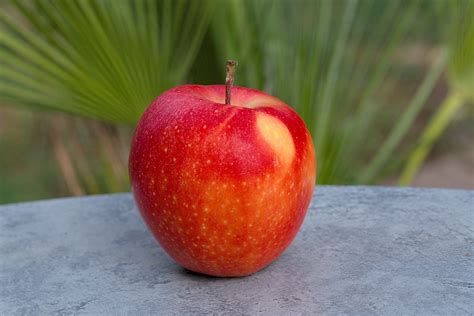 Apfel Obst Lebensmittel Roter Kostenloses Foto Auf Pixabay Pixabay