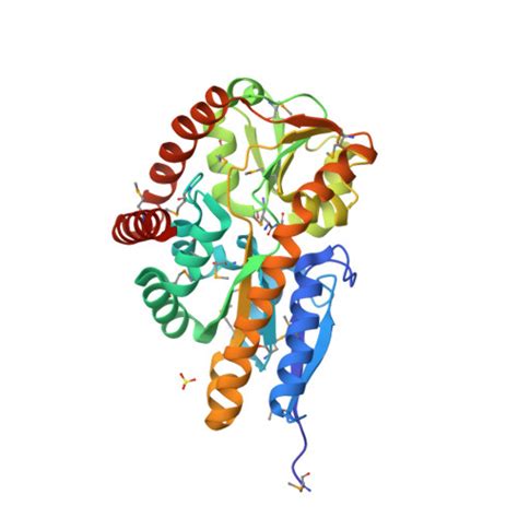 Rcsb Pdb Ngu Crystal Structure Of A Trap Periplasmic Solute Binding