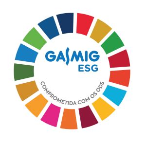 Gasmig Divulga Relat Rio Sobre A Es Esg Em