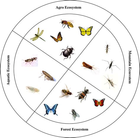 Bioindicators: Using Organisms To Measure Environmental, 46% OFF