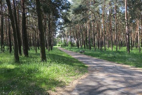 Rewitalizacja parku na Błoniu Będą nowe alejki