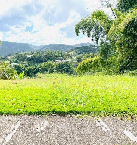 Urb Estancias San Ramon Lot G Orocovis Pr Realtor