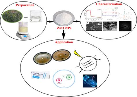 Cytotoxic Antidiabetic And Antioxidant Study Of Biogenically