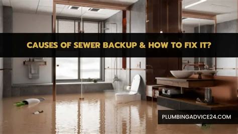 Causes Of Sewer Backup And How To Fix It Plumbing Advice24