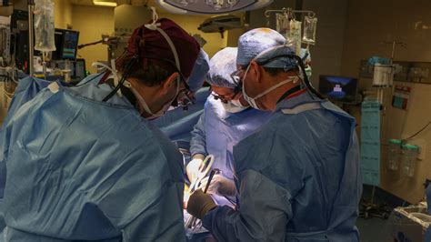 Surgeons Transplant Pig Kidney Into a Patient, a Medical Milestone ...