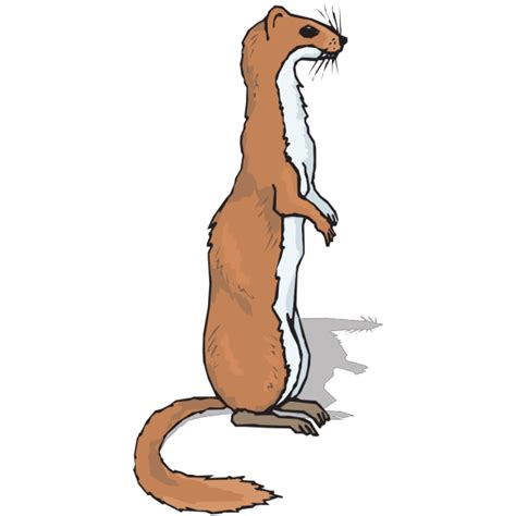 Ferret Svg Clip Arts Download Download Clip Art Png Icon Arts