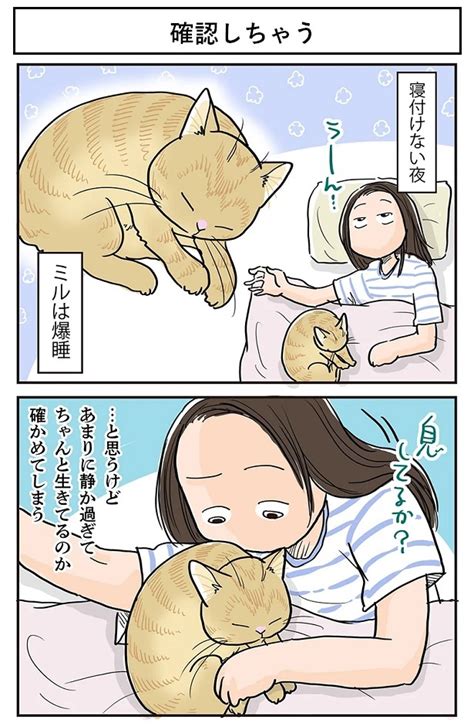 画像315 663ネコ漫画個性あふれる3匹の猫とのドタバタな日常を描いたコミックエッセイを一気読みウォーカープラス