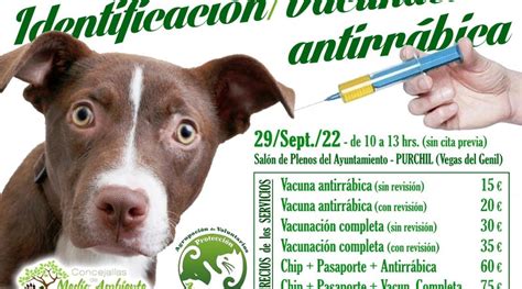 Campaña masiva de vacunación antirrábica y de identificación con chip