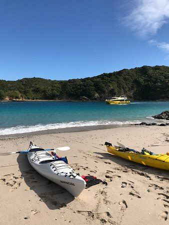 Bay of Islands Kayaking (Paihia) - 2019 All You Need to Know BEFORE You ...