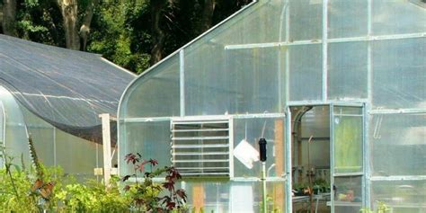 The Ultimate Guide to Greenhouse Replacement Covers - EmptyLightHome