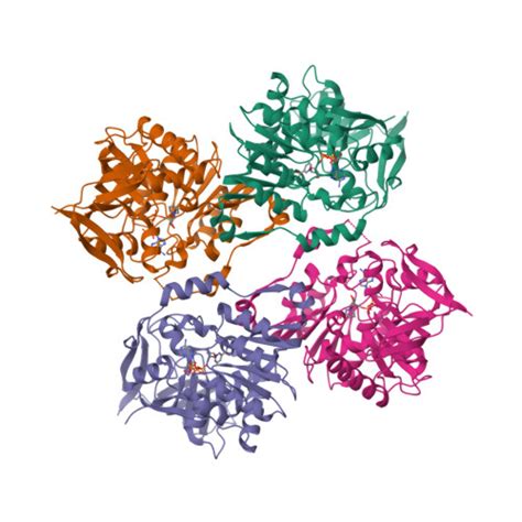 Gene Q99536 Protein VAT1 Overview CanSAR Ai