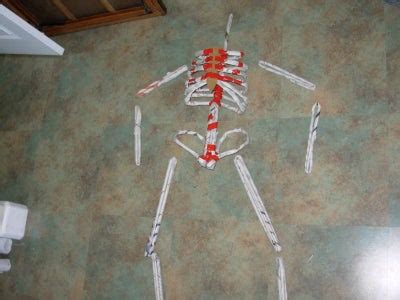 Paper Mache Skeletons : 7 Steps - Instructables