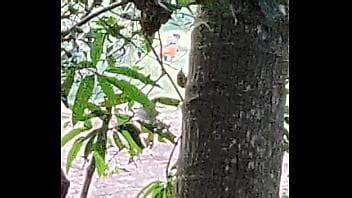 Out Door Videos Page XVIDEOS