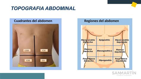 Semiologia Sistema Abdominal Pediatria Ppt Descarga Gratuita