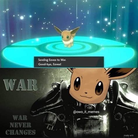 Funny Eevee Memes Cute Eevee Wallpaper - Warren Ciatell