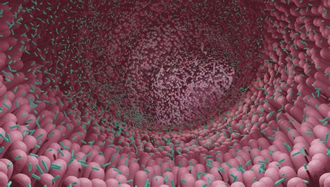 Microbiota y microbioma los microorganismos todavía tiene mucho que