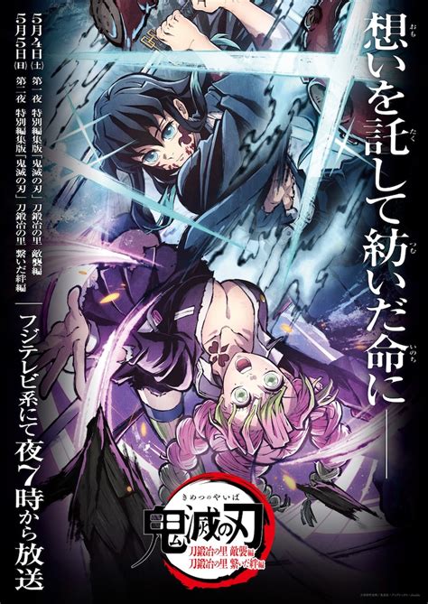 特別編集版「『鬼滅の刃』柱稽古編」ビジュアル 「鬼滅の刃」柱稽古編は第8話で最終回、60分の拡大放送 映画館で上映会も 画像・動画