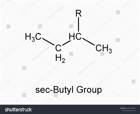 Secbutyl Functional Group Molecule Atom Formula Stock Vector Royalty Free 1891749805