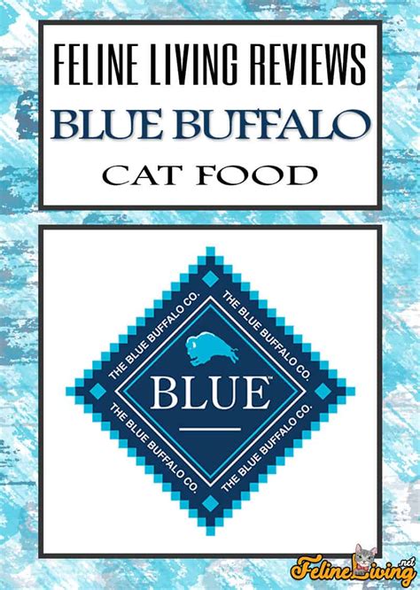 Blue Buffalo Cat Food Reviews January 2024: Best Affordable Brand?