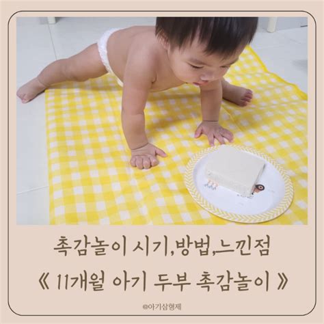 11개월 아기 두부 촉감놀이 후 느낀점시기방법 네이버 블로그