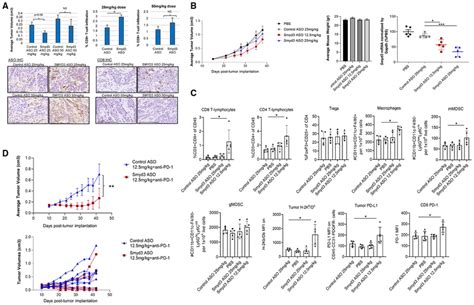 Smyd3 Depletion Increases Cd8 T Cell Infiltration And Induces