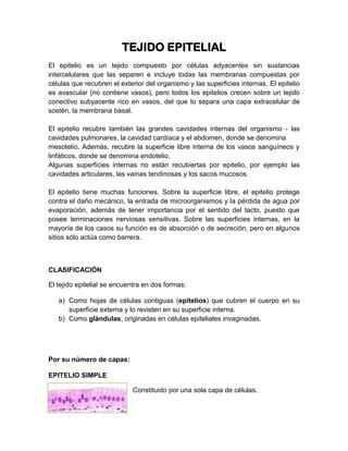 Clasificaci N De Epitelios Pdf