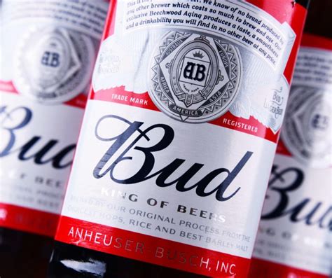 Alcohol Content In Budweiser Vs Bud Light Shelly Lighting