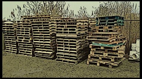 Places To Find Free Pallets Near You Discovering Employment Paths