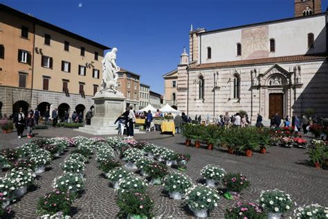 Tutti In Piazza Per La Festa Di Primavera In Ricordo Di Enrica Tognazzi