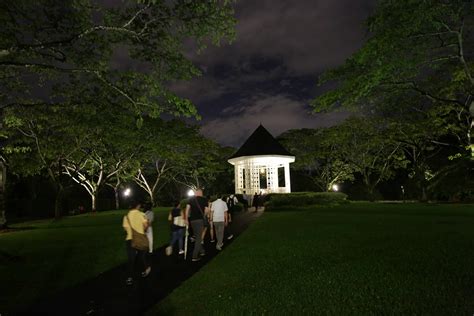 Gardens Of The Night 11