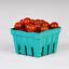 Pactiv Garden Party Berigard Berry Basket Molded Fiber Green 1 Qt