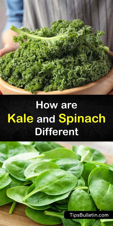 Are Spinach and Kale the Same