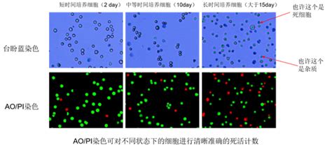 台盼蓝AO PI荧光计数明场计数染色法区别及所适用细胞样品类型 生物器材网