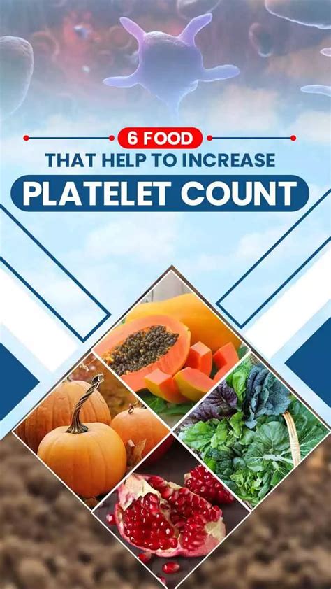 Top Foods To Increase Blood Platelets