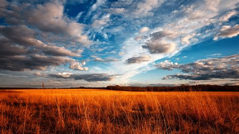 Online Crop Brown Grass Field Clouds Field Landscape HD Wallpaper