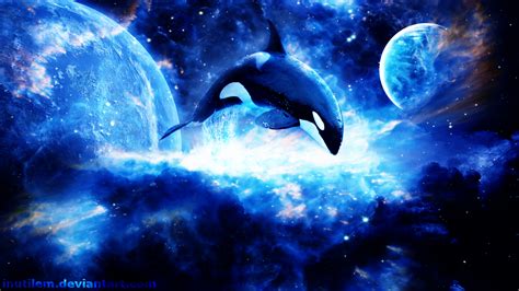 Orca Wallpaper iPhone - WallpaperSafari