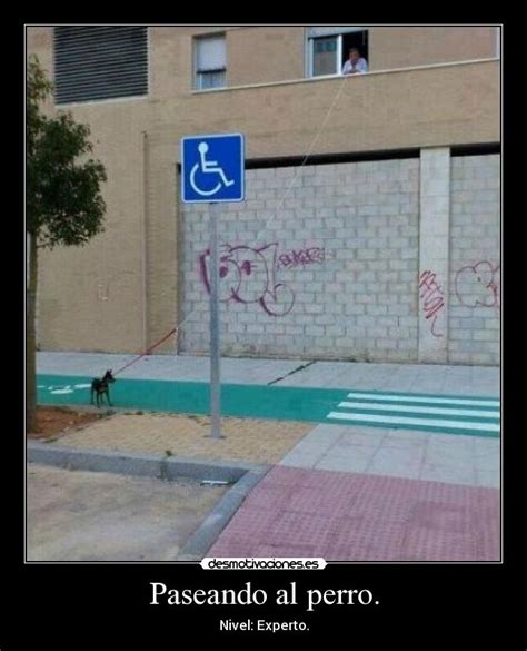 Paseando Al Perro Desmotivaciones