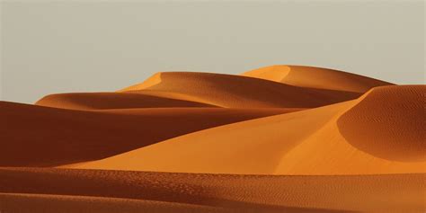 Who Lives in The Sahara Desert? - The Fact Site