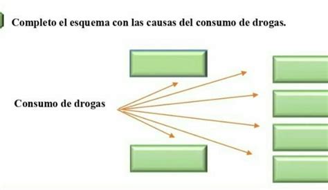 Completo El Esquema Con Las Causas Del Consumo De Drogas Brainly Lat