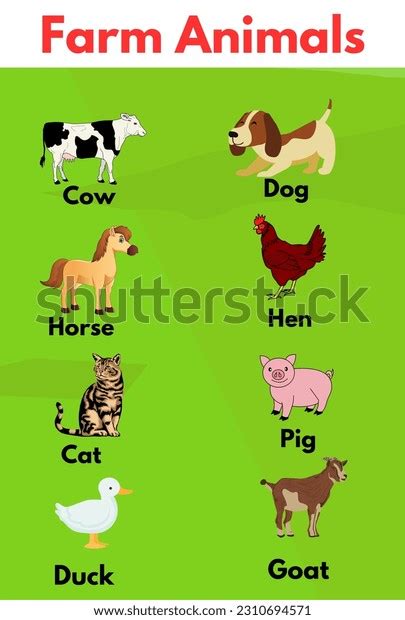 Farm Animals Farm Animals Names Printed Stock Vector (Royalty Free ...