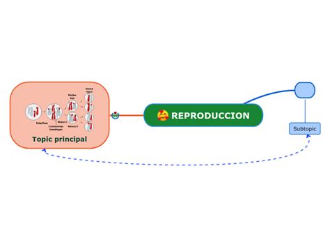 Reproduccion Mind Map