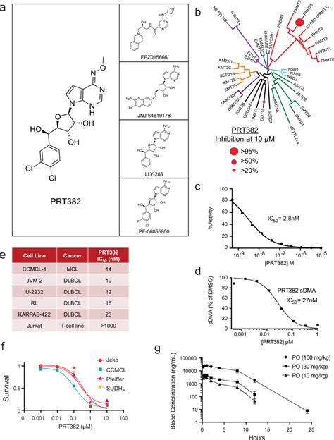 Prt A Selective Inhibitor Of Prmt A Chemical Structure Of Tool