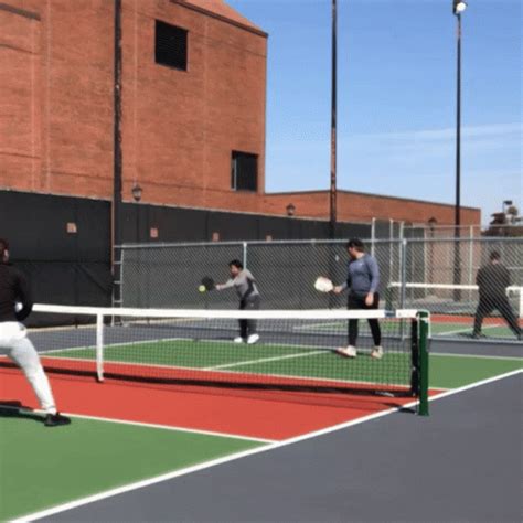 pickleball shiba inu peeking gif gifdbcom