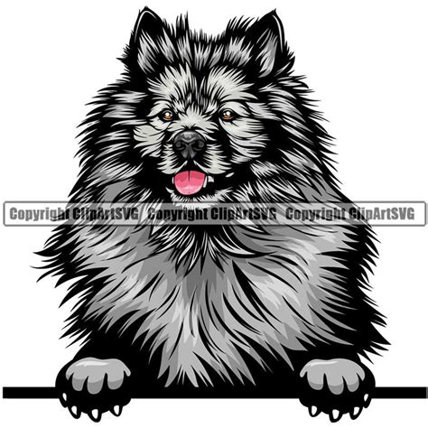 Keeshond Dog Breed Peeking Color Clipart Svg Clipart Svg