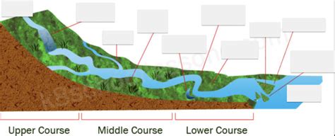 Lotic Ecosystems Diagram | Quizlet