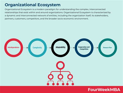 Organizational Ecosystem - FourWeekMBA