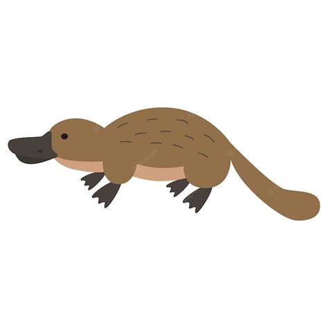 Premium Vector | Cartoon platypus