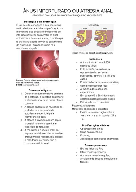 Res Atresia Anal Resumo Ânus Imperfurado Ou Atresia Anal Processo