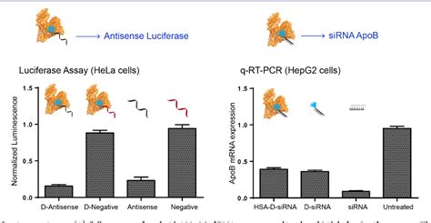 Figure From Development Of Dna Nanostructures For High Affinity