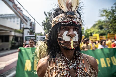 Mahkamah Agung Tolak Kasasi Awyu Perjuangan Selamatkan Hutan Papua